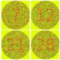 Color Blindness Test App