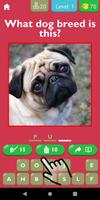 Guess The Dog Breed Game bài đăng