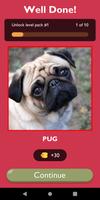 Guess The Dog Breed Game ảnh chụp màn hình 1