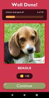 Guess The Dog Breed Game ảnh chụp màn hình 3