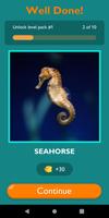 Guess The Sea Animal Game تصوير الشاشة 3