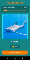 Guess The Sea Animal Game تصوير الشاشة 1