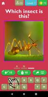 Guess The Insect Game-poster