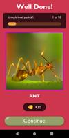 Guess The Insect Game screenshot 1