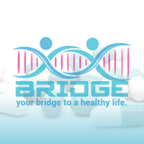 Bridge APK