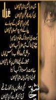 Wasi Shah Poetry Collection Affiche