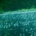 Rain(Baby) иконка