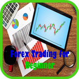 Forex Trading For Beginner icon