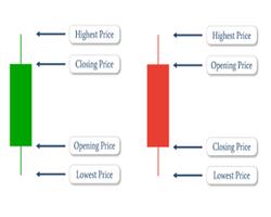 Forex Trading For Beginner 截圖 2