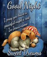 Good Night Wishes Screenshot 1