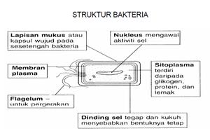 پوستر Sains SPM Tingkatan 5