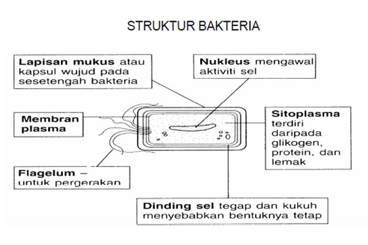 Sains Spm Tingkatan 5 For Android Apk Download