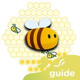 Guide Honey Gain - How To Earn APK