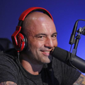Joe Rogan - Daily Podcast