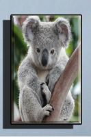 Cute Koala Wallpaper الملصق