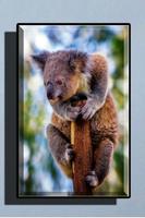 Cute Koala Wallpaper تصوير الشاشة 3