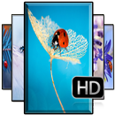 Ladybug Wallpaper HD aplikacja