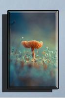 Mushroom Wallpaper HD تصوير الشاشة 2