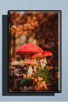 Mushroom Wallpaper HD تصوير الشاشة 3