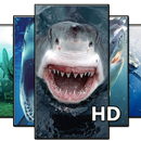 Shark Wallpaper HD APK