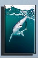 Shark Wallpaper HD تصوير الشاشة 1