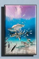 Shark Wallpaper HD تصوير الشاشة 2