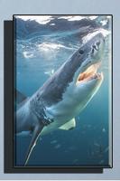 Shark Wallpaper HD تصوير الشاشة 3