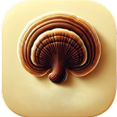 Ganoderma Lifestyle for DXN APK