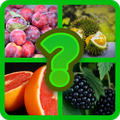 Fruit Quiz 2019
