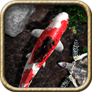 Pocket Pond 2 APK