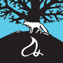 Foxwoods Resort Casino APK