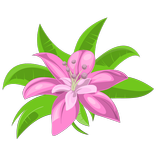 RBow Lesbian Chat / Flirt - find new friends