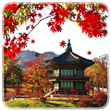 Autumn leaves in pagoda