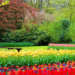 Mùa Xuân hình nền đẹp