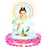 Phật Bà Quan Âm Độ Mạng APK