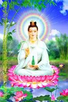 Phật Bà Quan Âm Độ Mạng Poster