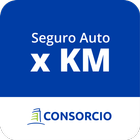 Auto xKM ikona