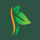 Indian Poetry: Free English Poem's And Quotes APK