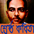 Jibanananda Das'er Sresto Kobita জীবনানন্দ দাশ APK