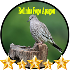 Canto da Rolinha Fogo Apagou 아이콘