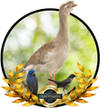 Canto da Siriema
