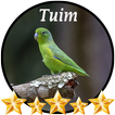 Canto de Tuim