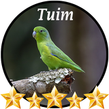 Canto de Tuim biểu tượng