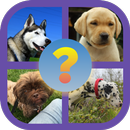 Name the Dog Breed APK
