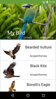 My Bird poster