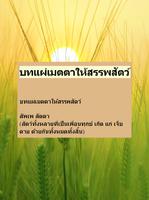 บทแผ่เมตตา โปสเตอร์