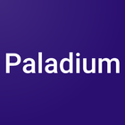 Parking Paladium آئیکن