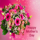 Mother's Day Greeting Cards icône