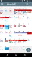 Calendar+ Schedule Planner 海报