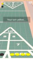 Shuffleboard poster